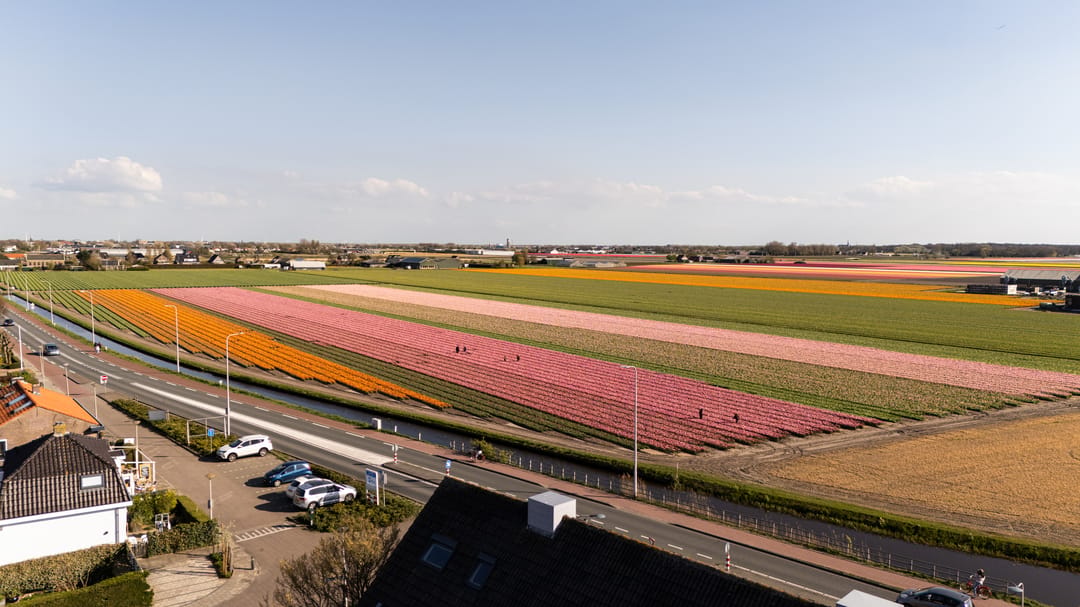 Foto 41 van Hoogduinweg 6