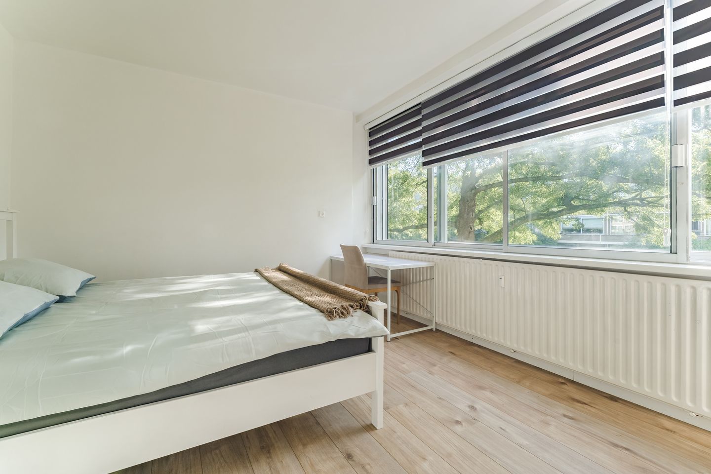 Photo 19 of Meander 563