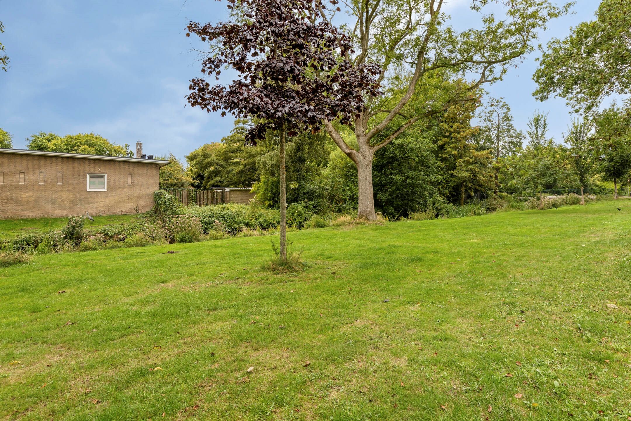 Photo 51 of Nassaukade 10