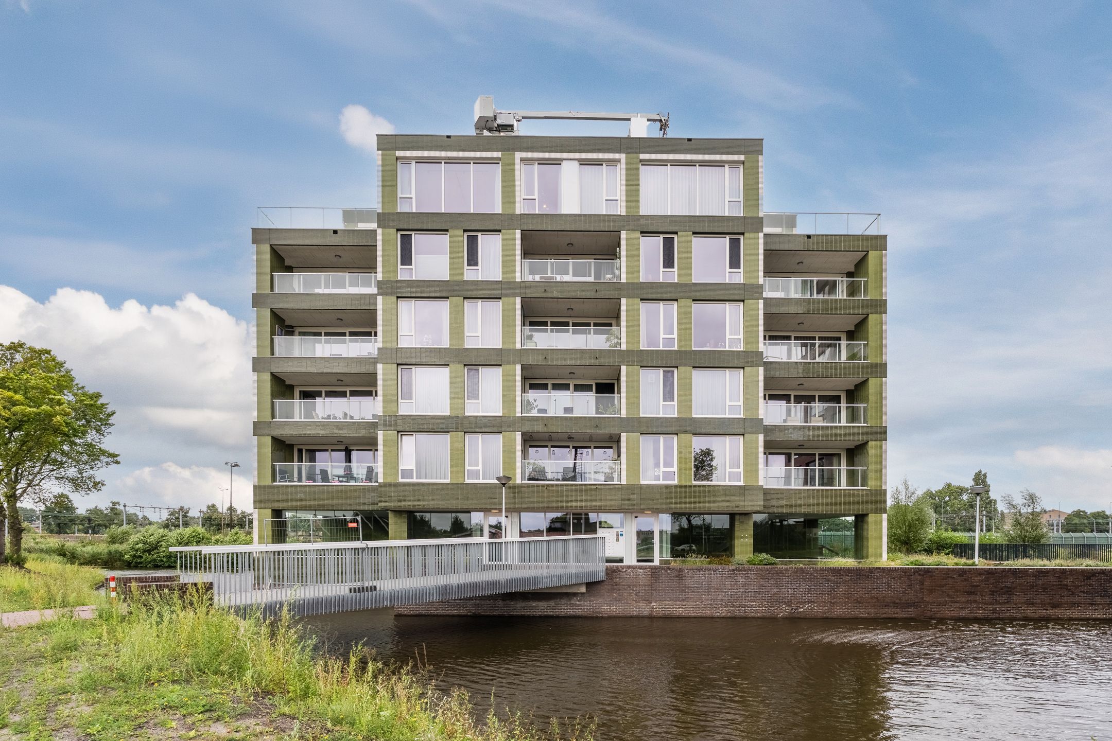 Mahoniehout 462 