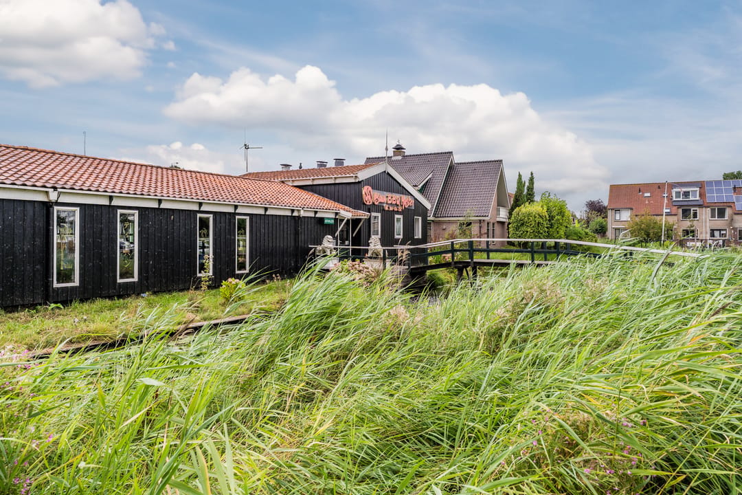 Foto 46 van Mahoniehout 462