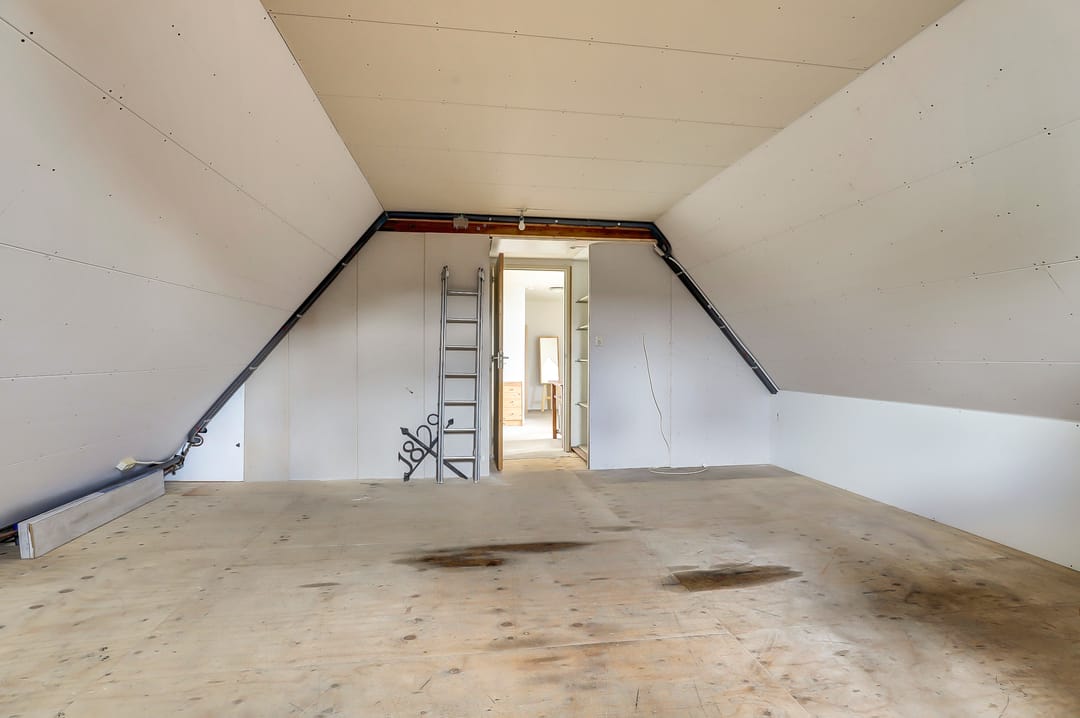 Photo 28 of It Roster 4