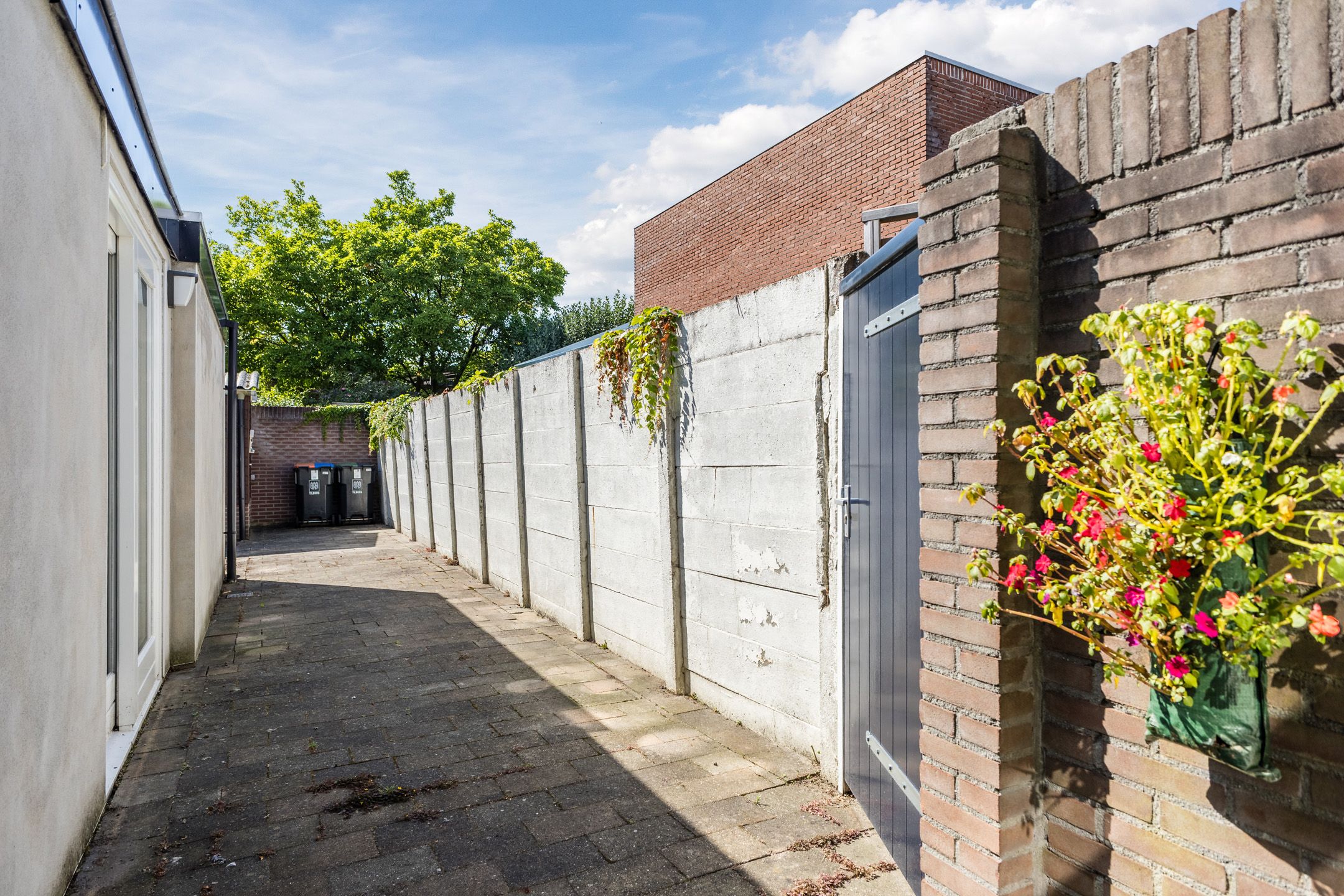 Photo 24 of Noord-Besterdstraat 5