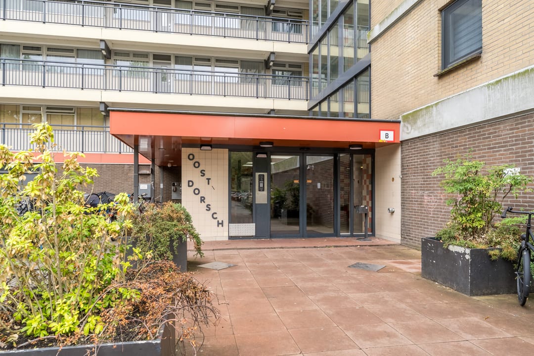 Photo 7 of Oost-Dorsch 137