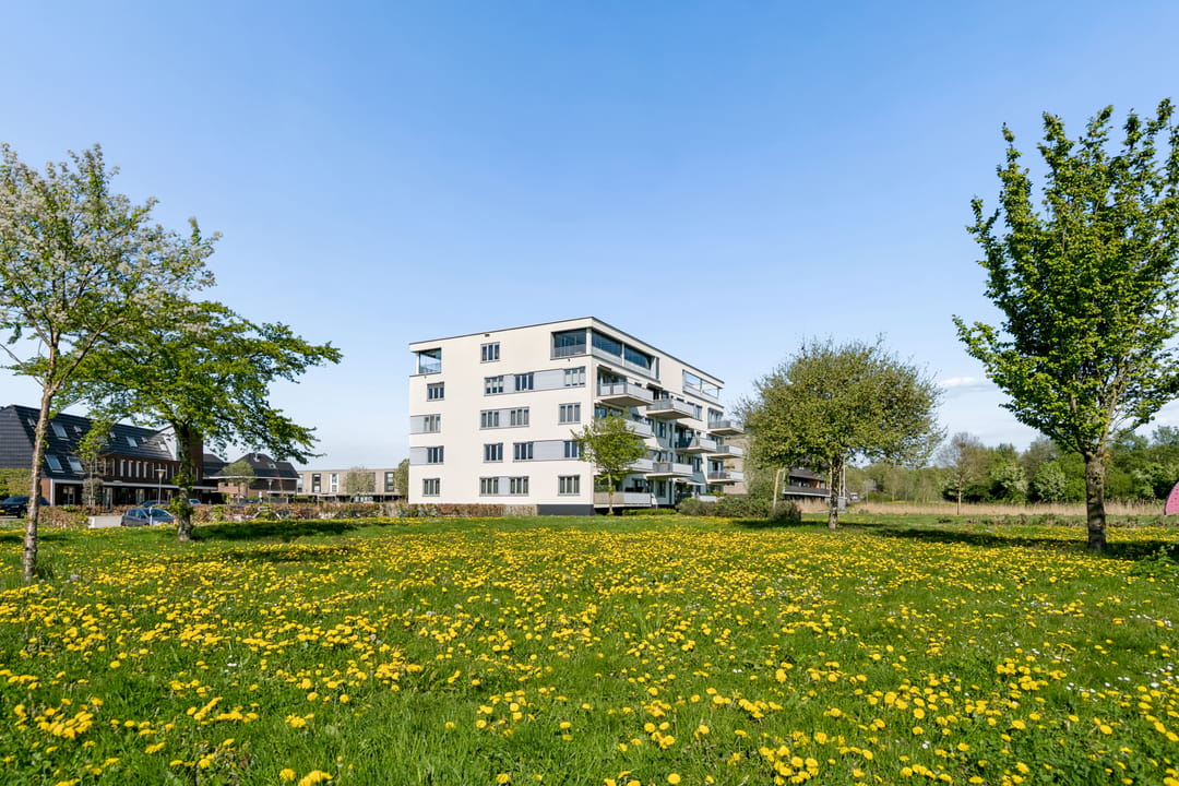 Photo 56 of Beekvliet 12