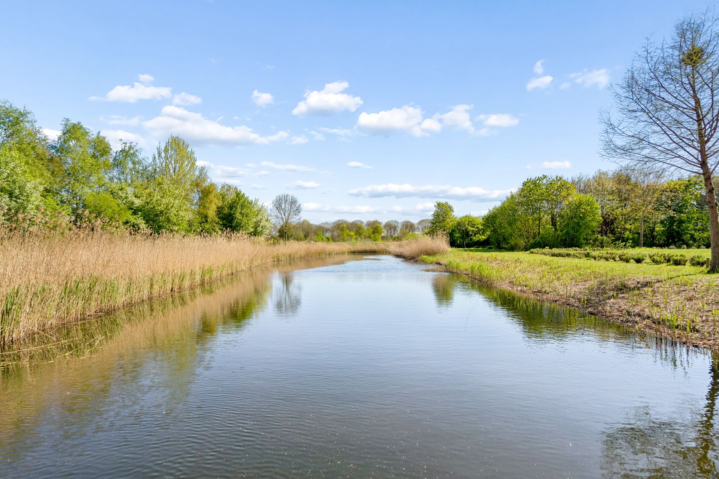 Photo 64 of Beekvliet 12