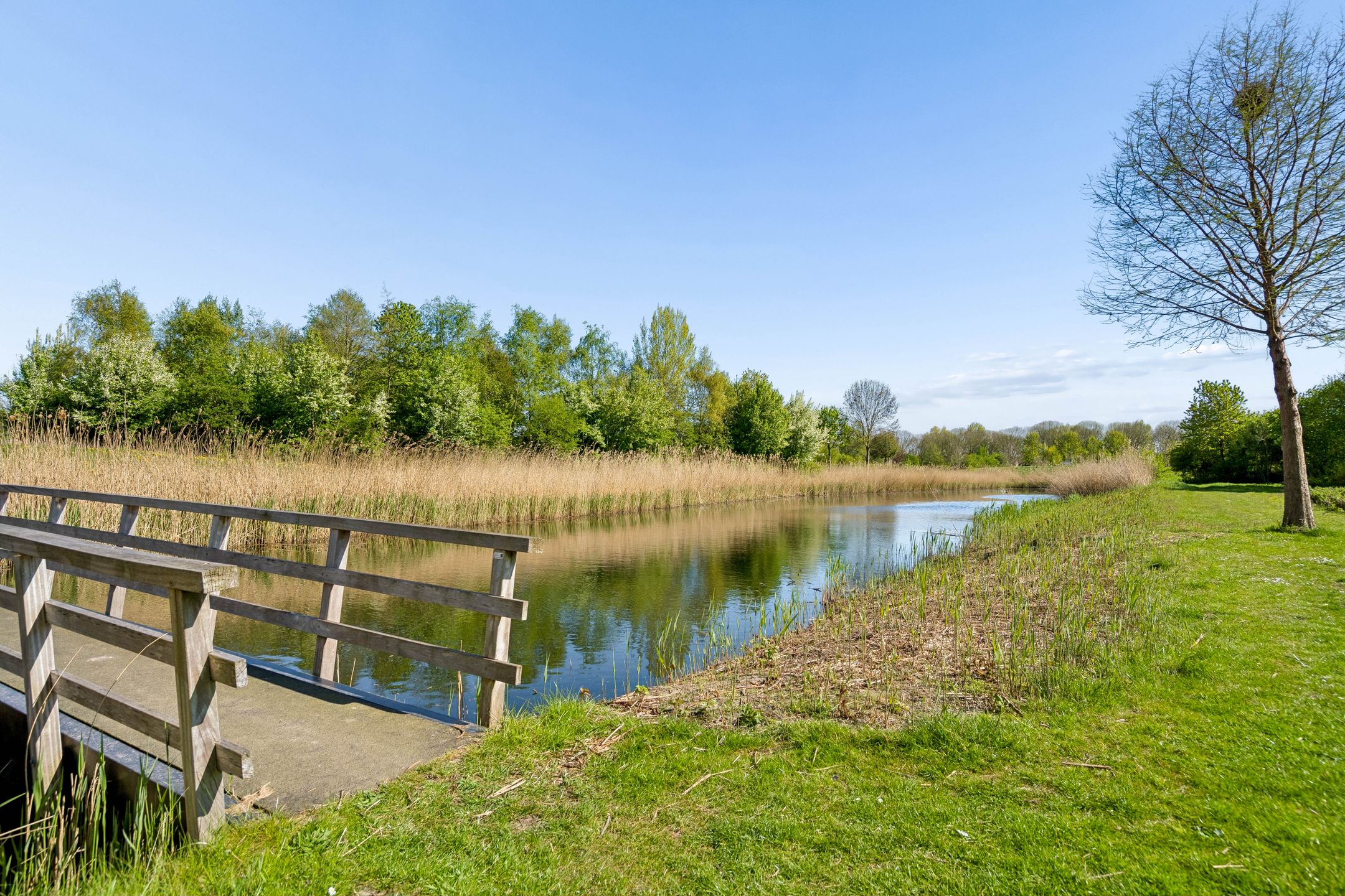 Photo 63 of Beekvliet 12