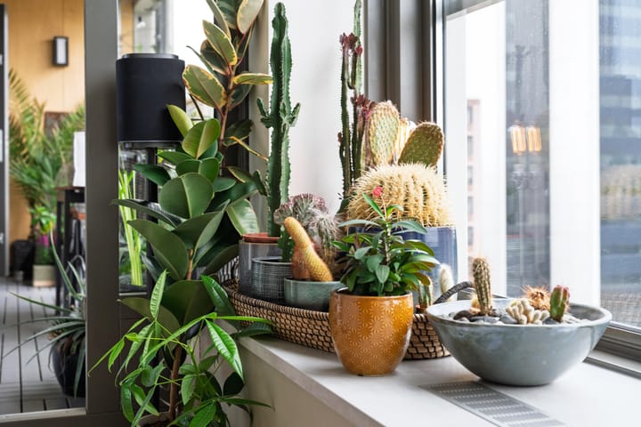 Appartement te koop: Honingerhof 34, Rotterdam