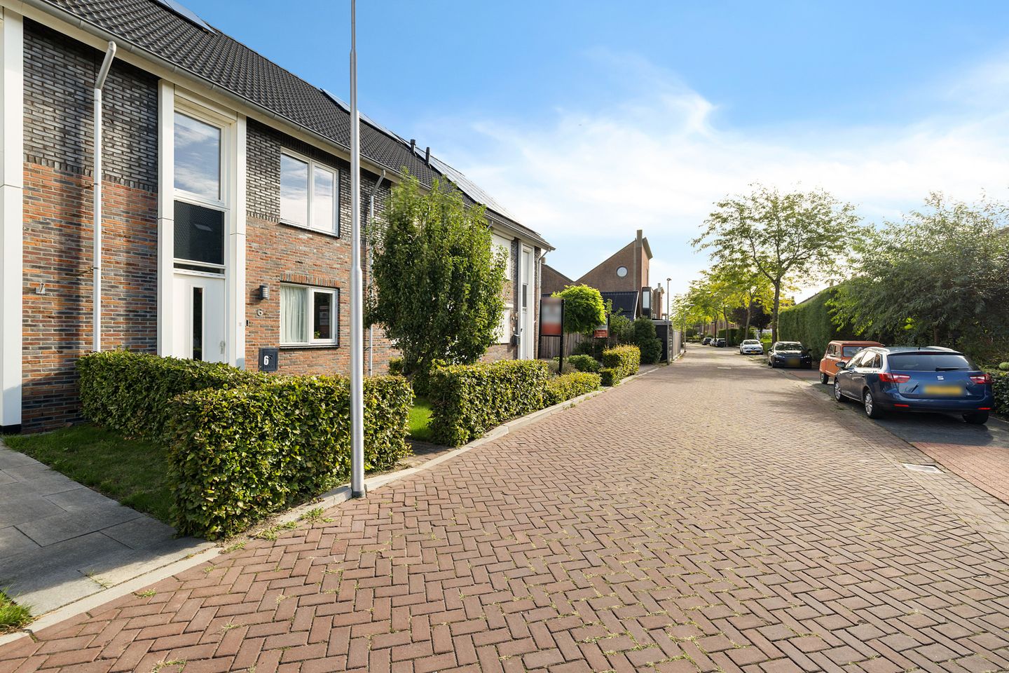Foto 5 van Gentiaan 6