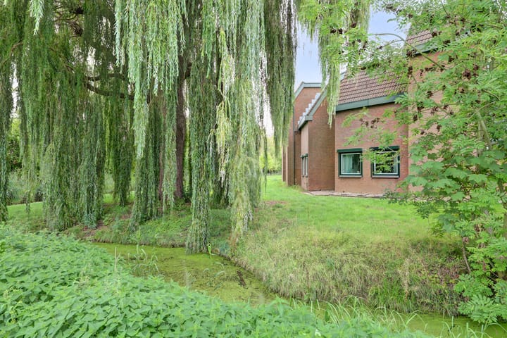 Foto 2 van Zwaluw 48
