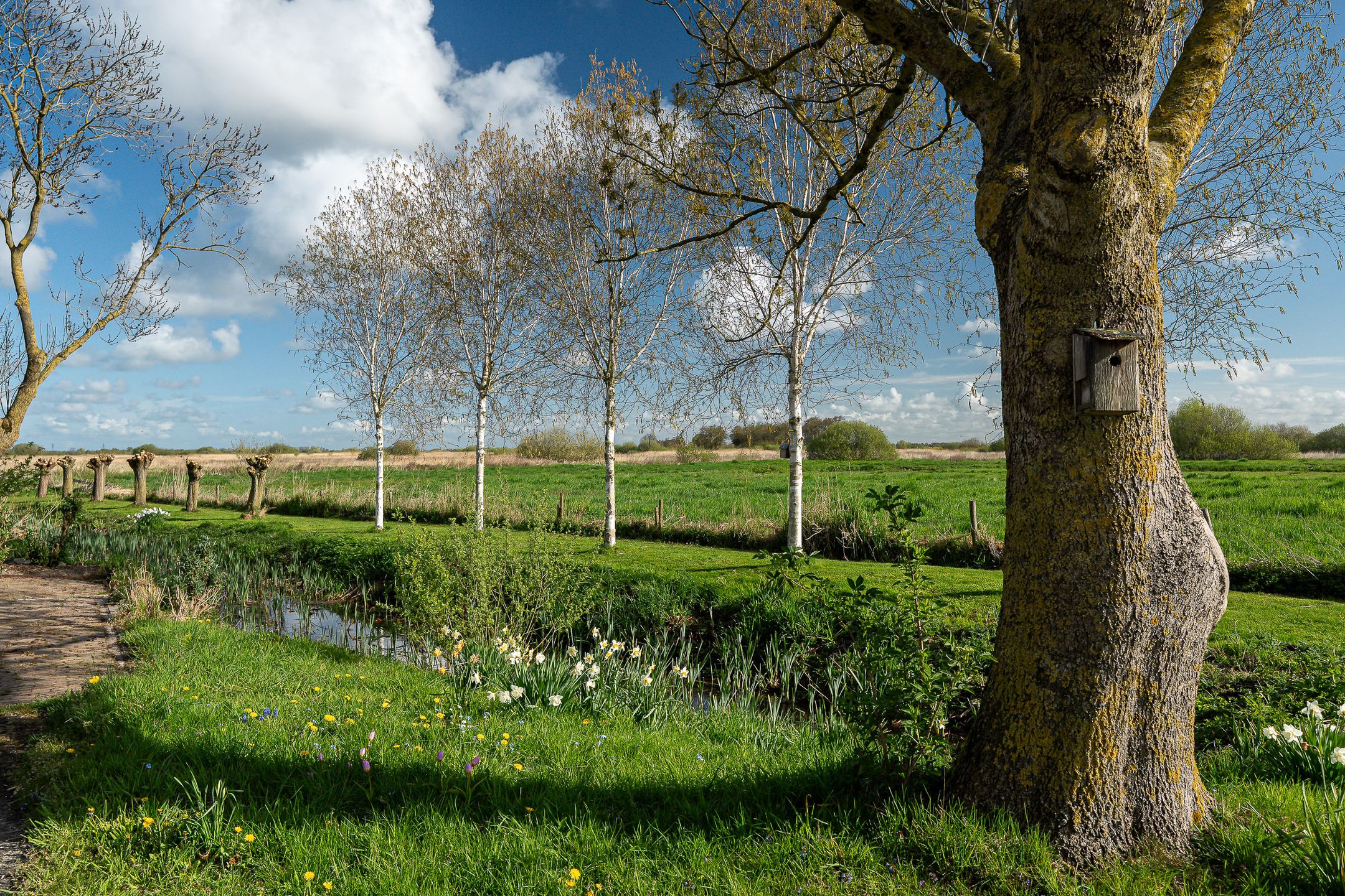 Photo 57 of Lindedijk 7