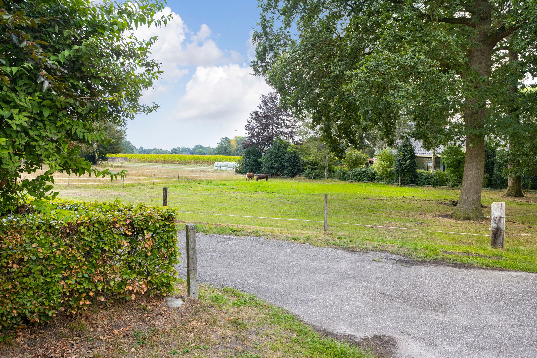 Photo 39 of van der Capellenweg 10-A