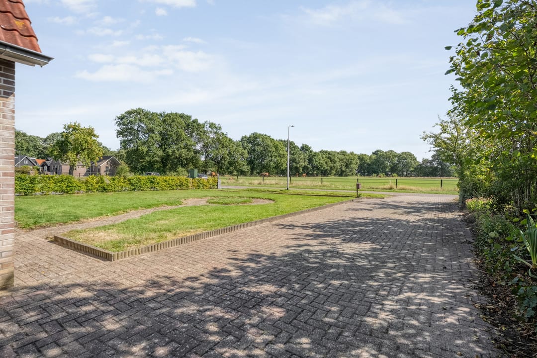 Photo 23 of Witte Paarden 25