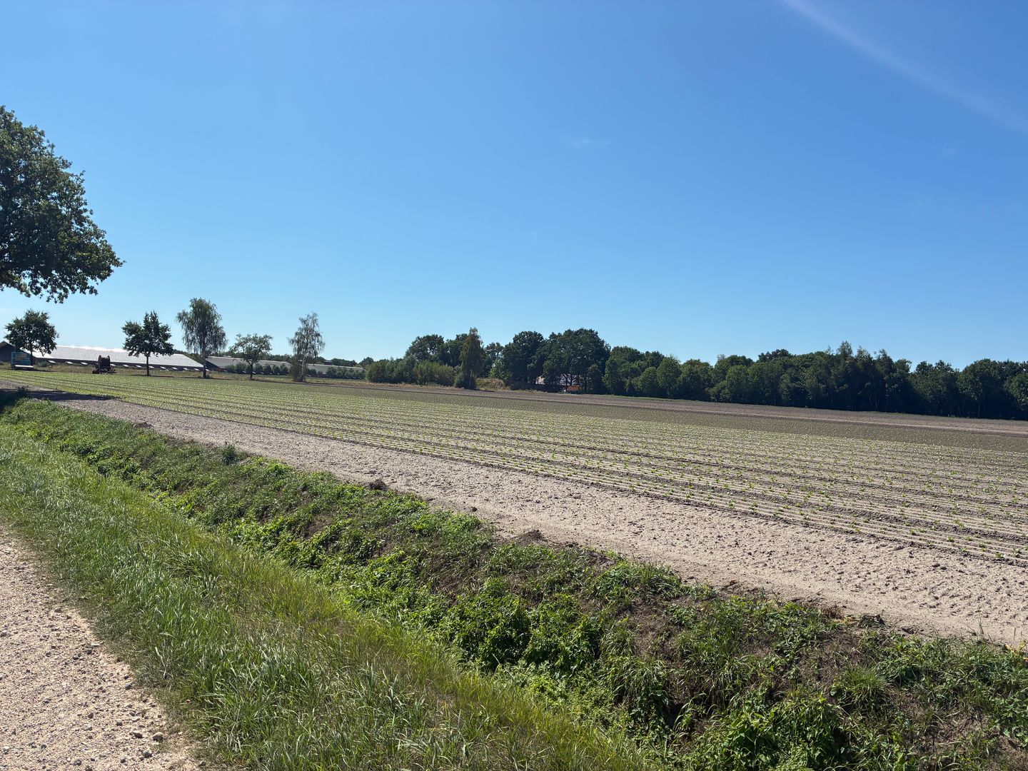 Siberiëweg - Sevenum - Afbeelding 3