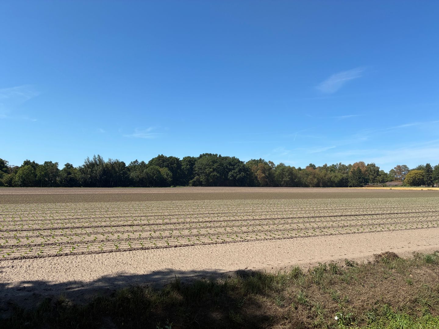 Siberiëweg - Sevenum - Afbeelding 5