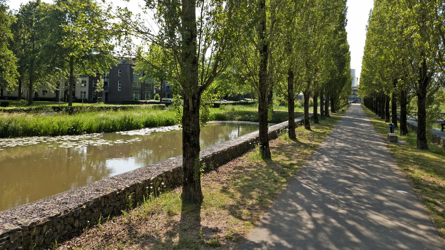 Foto 44 van Oude Vlijmenseweg 261