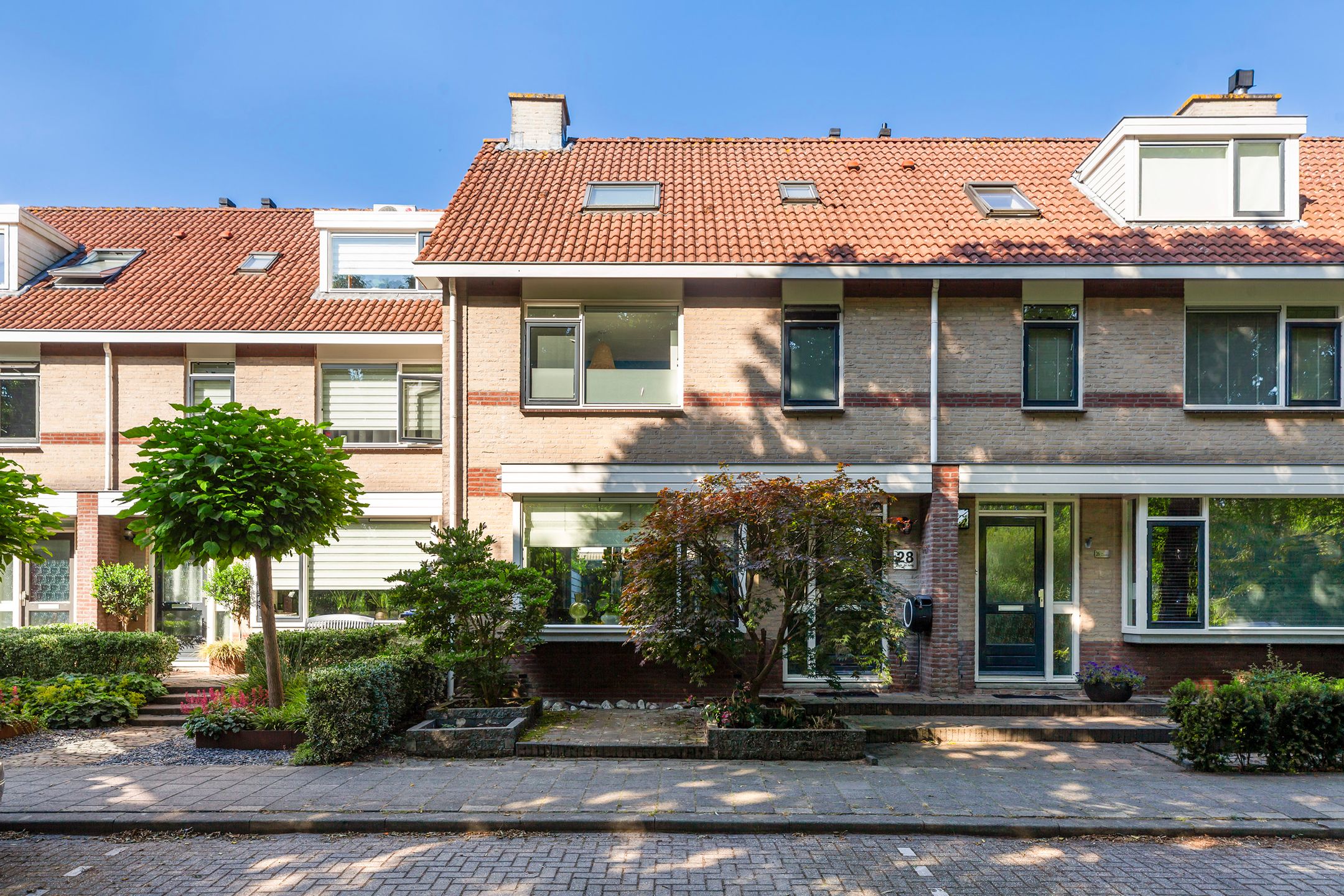 Purperreiger 28 