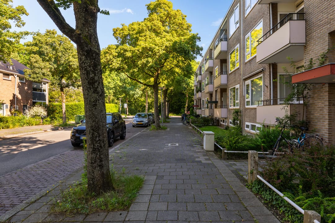 Foto 38 van Strausslaan 2-A