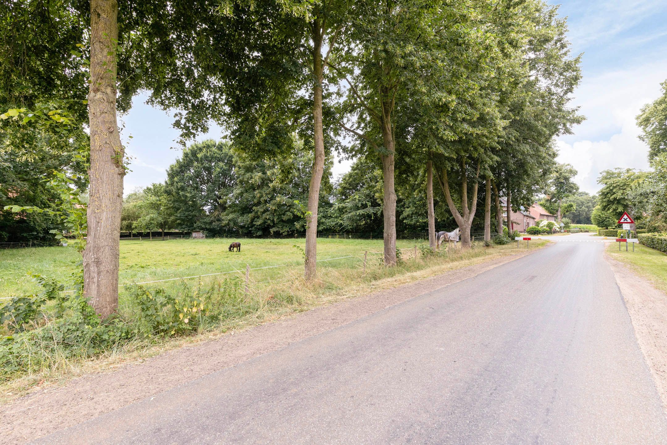 Photo 72 of Roijendijk 2