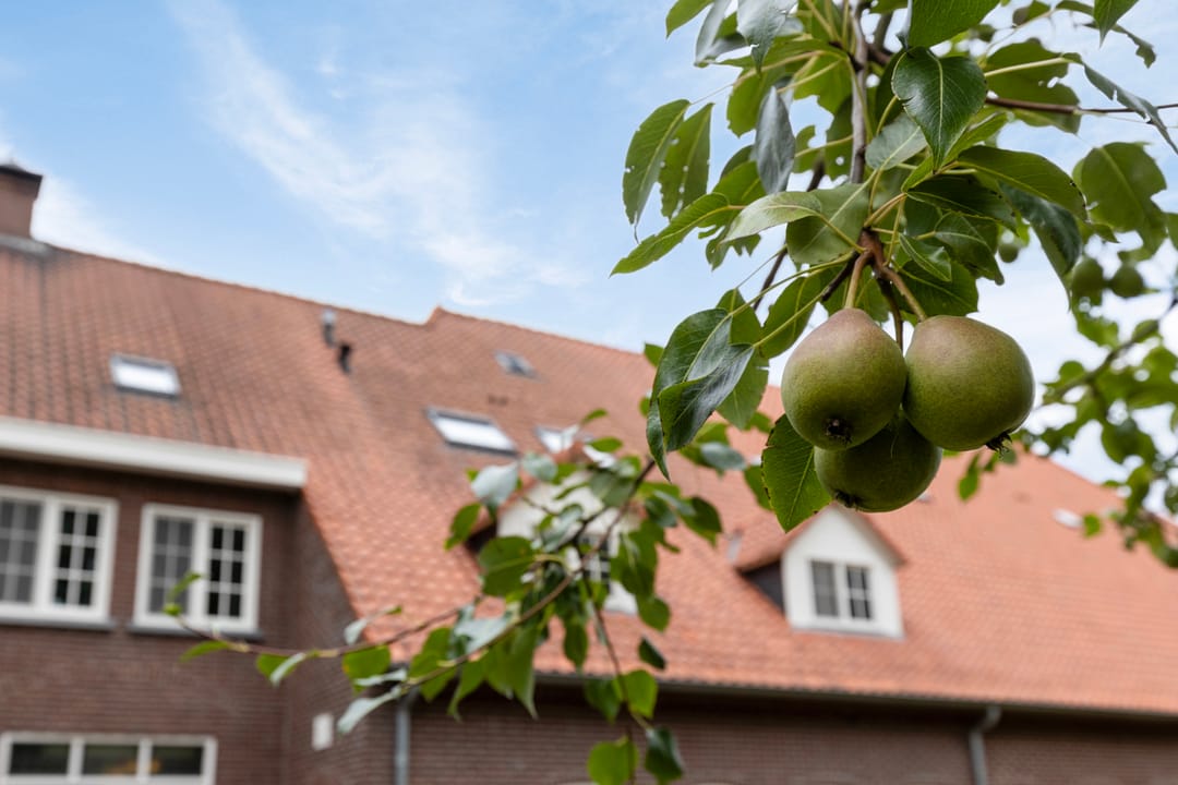 Photo 67 of Roijendijk 2