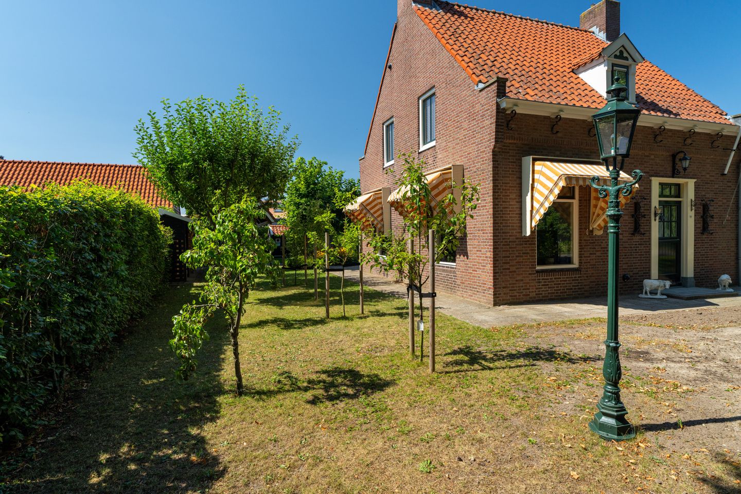 Foto 4 van Witboomstraat 66