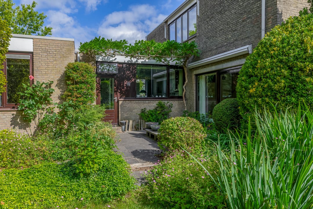 Foto 41 van Boksdoorn 1