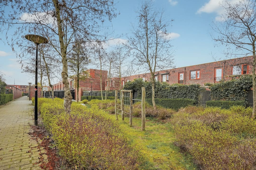 Foto 41 van Grasbloem 67