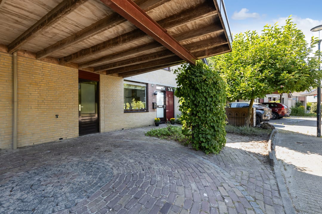 Photo 8 of Johan Marijnenboog 8