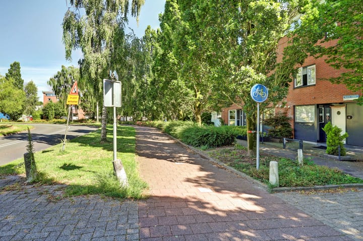 Photo 2 of Noorse Lijster 3