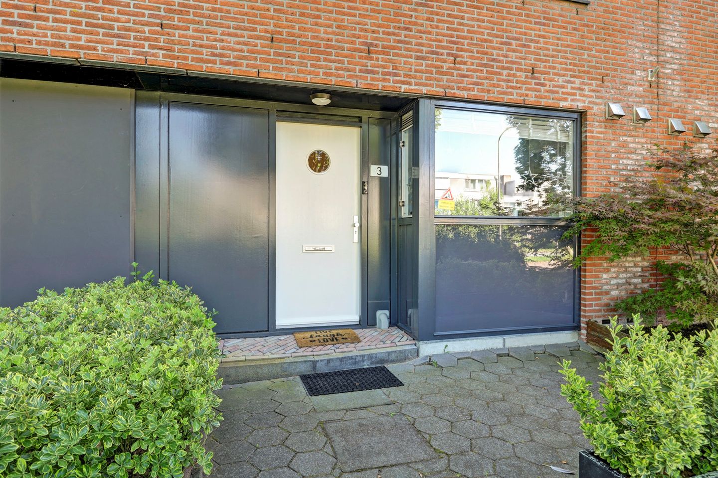 Foto 4 van Noorse Lijster 3