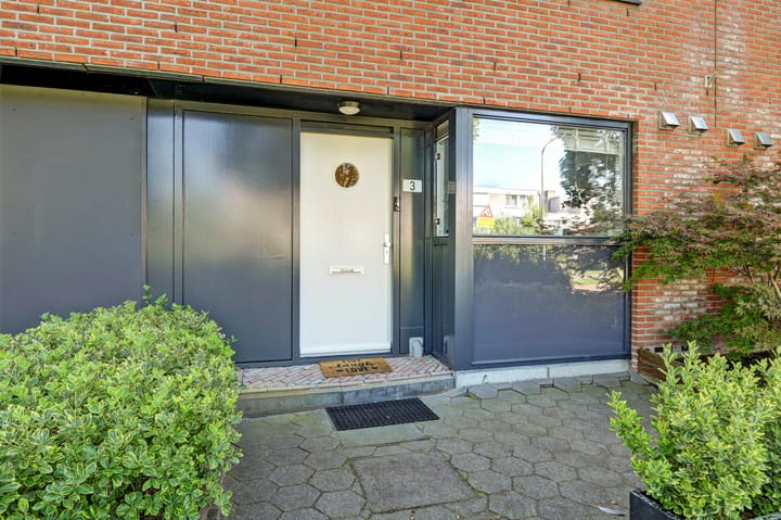Photo 4 of Noorse Lijster 3
