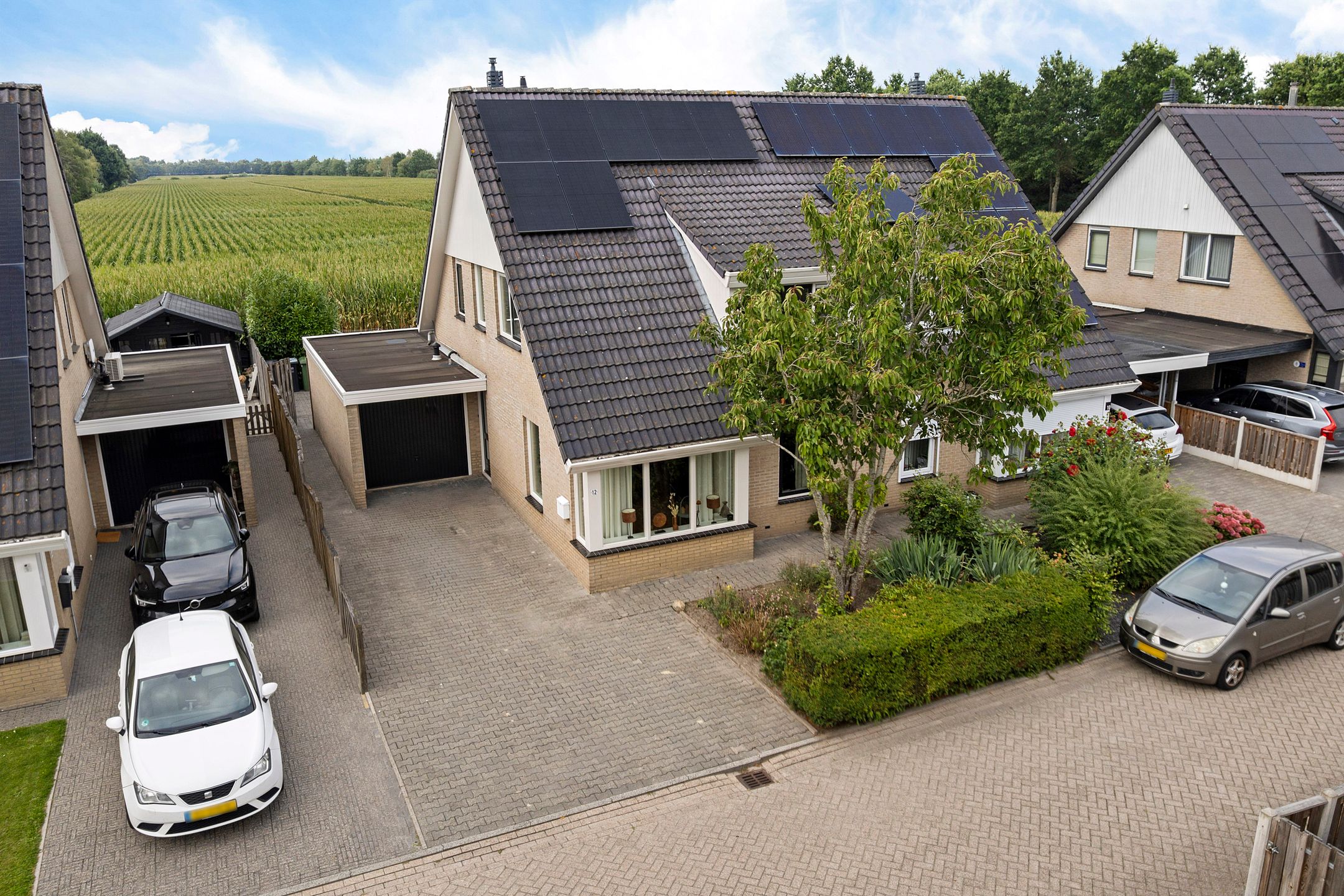 Andoorn 12