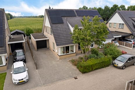 Andoorn thumbnail