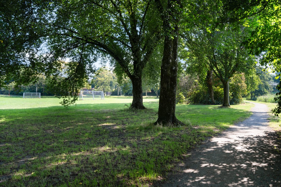 Foto 56 van Buizerdveld 30
