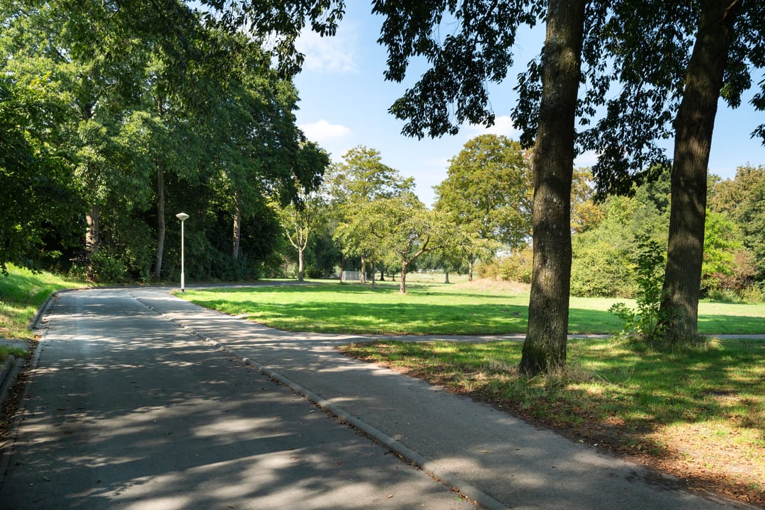 Foto 53 van Buizerdveld 30