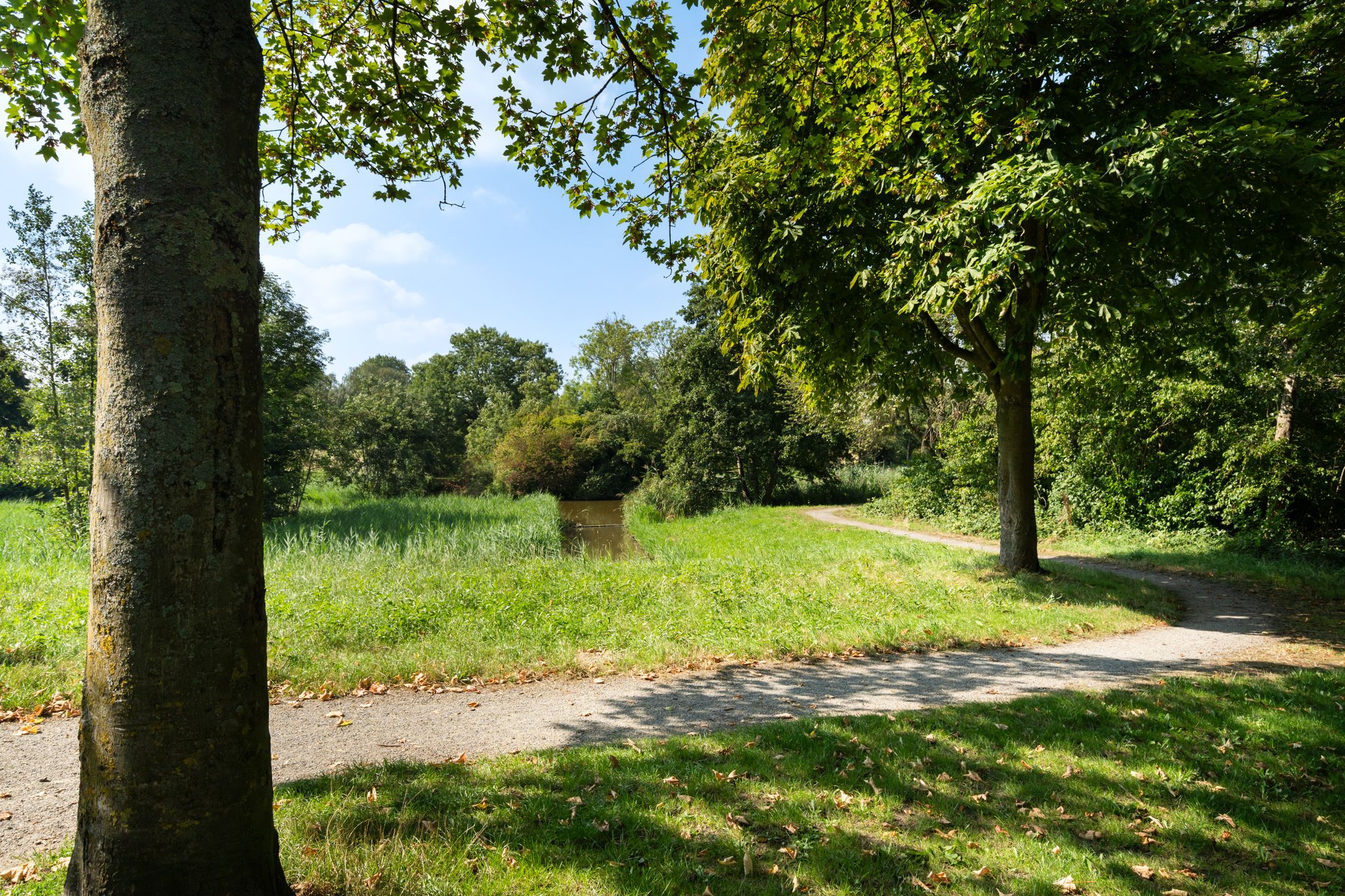 Foto 54 van Buizerdveld 30