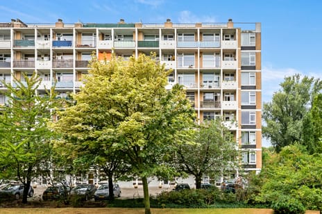 Louis Davidsstraat thumbnail