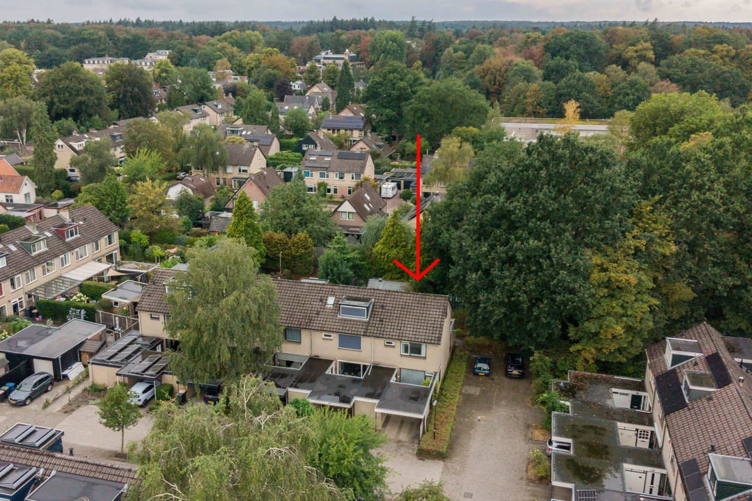 Foto 43 van Lippe-Biesterfeldstraat 15