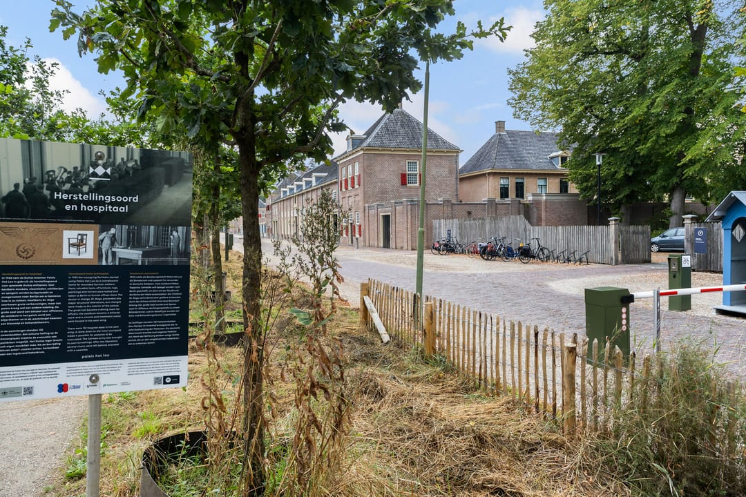 Foto 41 van Lippe-Biesterfeldstraat 15