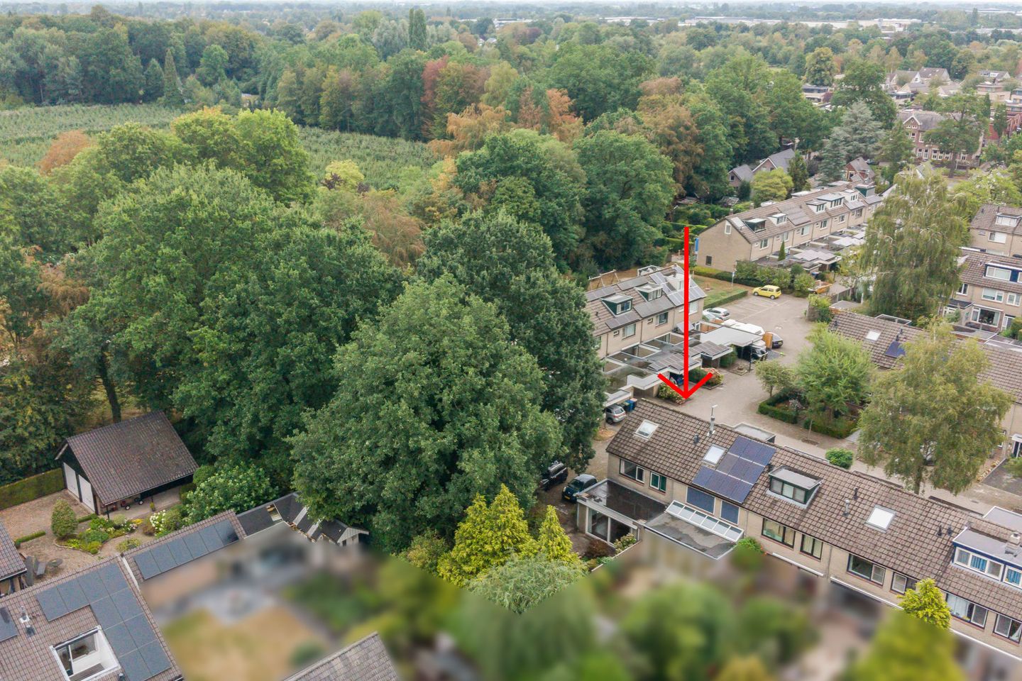 Foto 44 van Lippe-Biesterfeldstraat 15