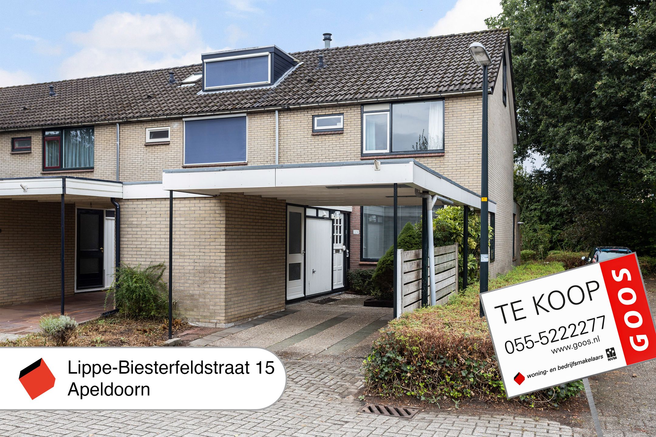 Foto 45 van Lippe-Biesterfeldstraat 15