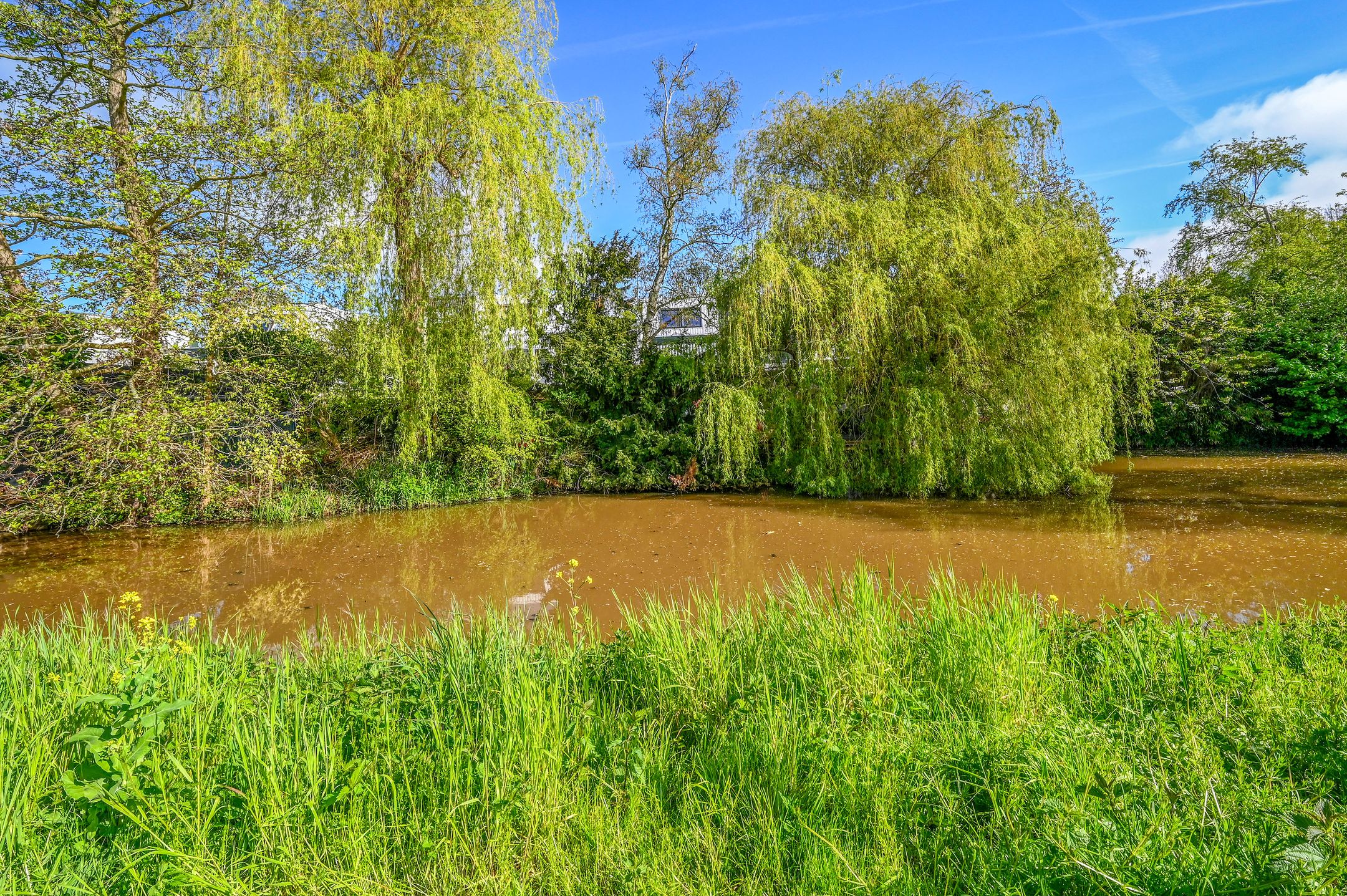 Photo 42 of Muijeveld 37