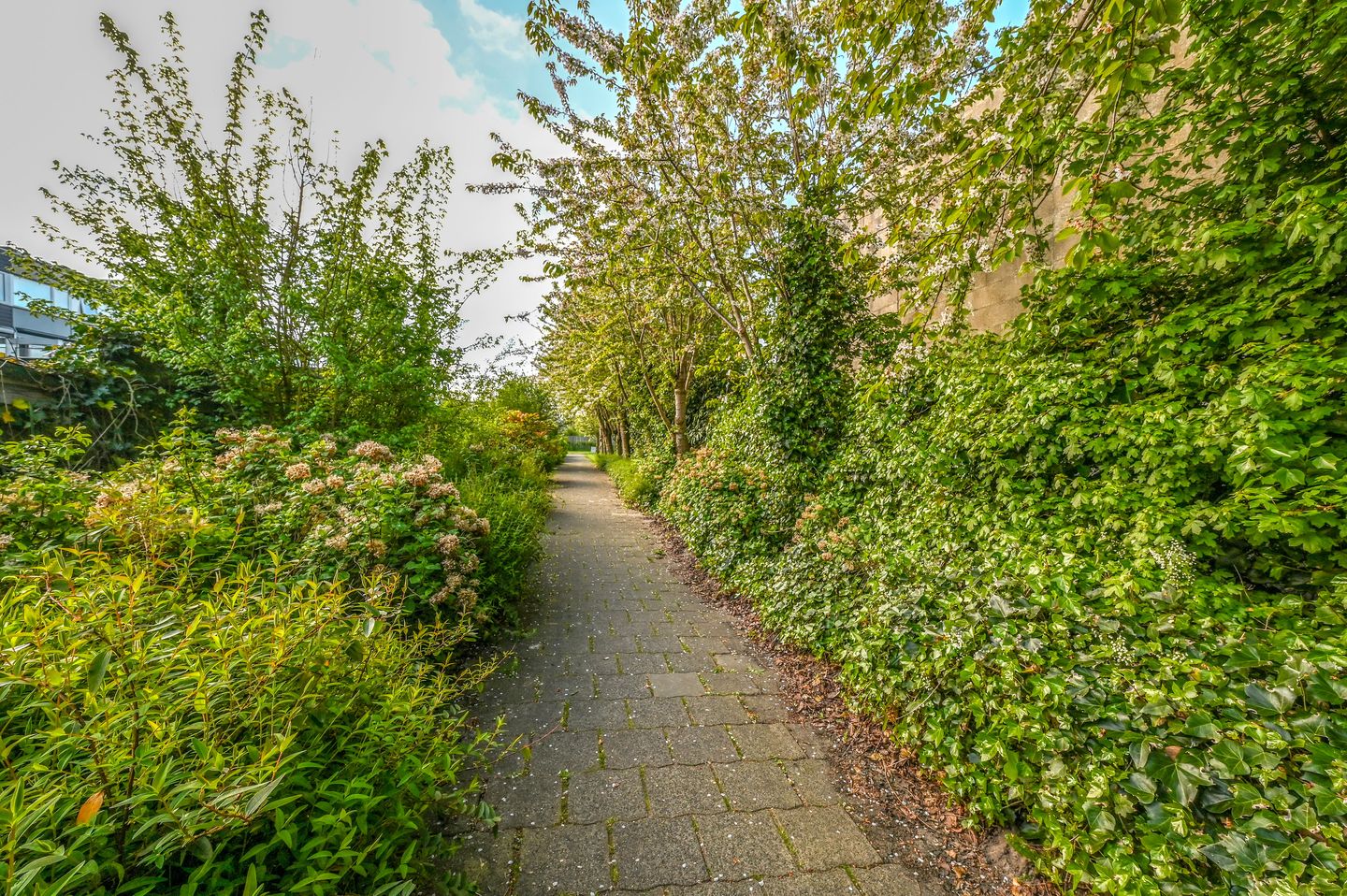 Photo 40 of Muijeveld 37