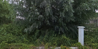 View 360° photos