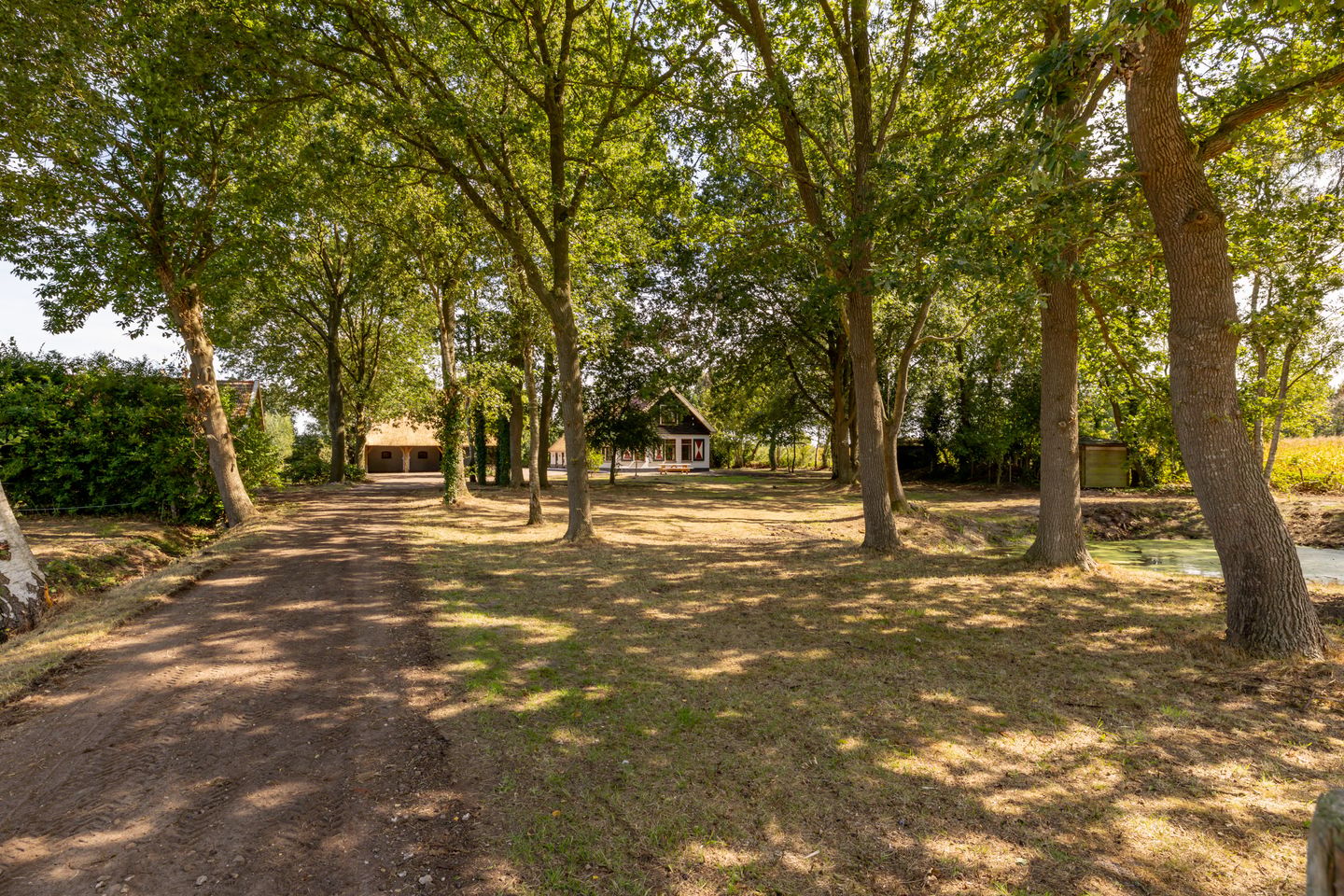 Photo 10 of Fort 5