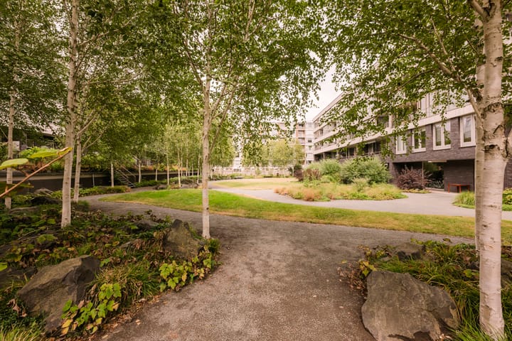 Foto 4 van Maassluisstraat 57