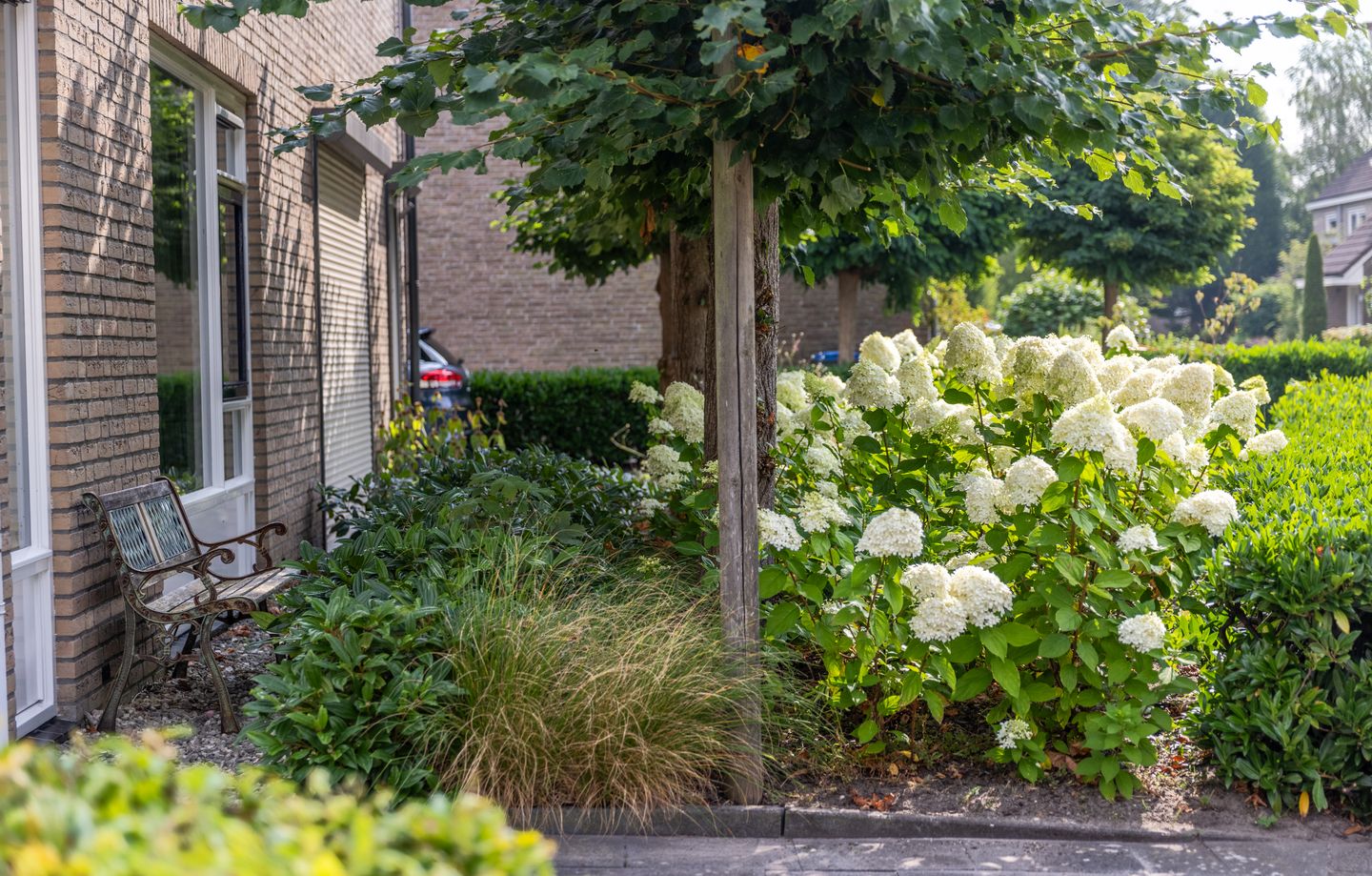 Foto 44 van de Dommel 4