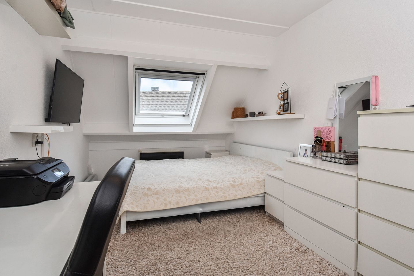 Photo 19 of Regulus 26