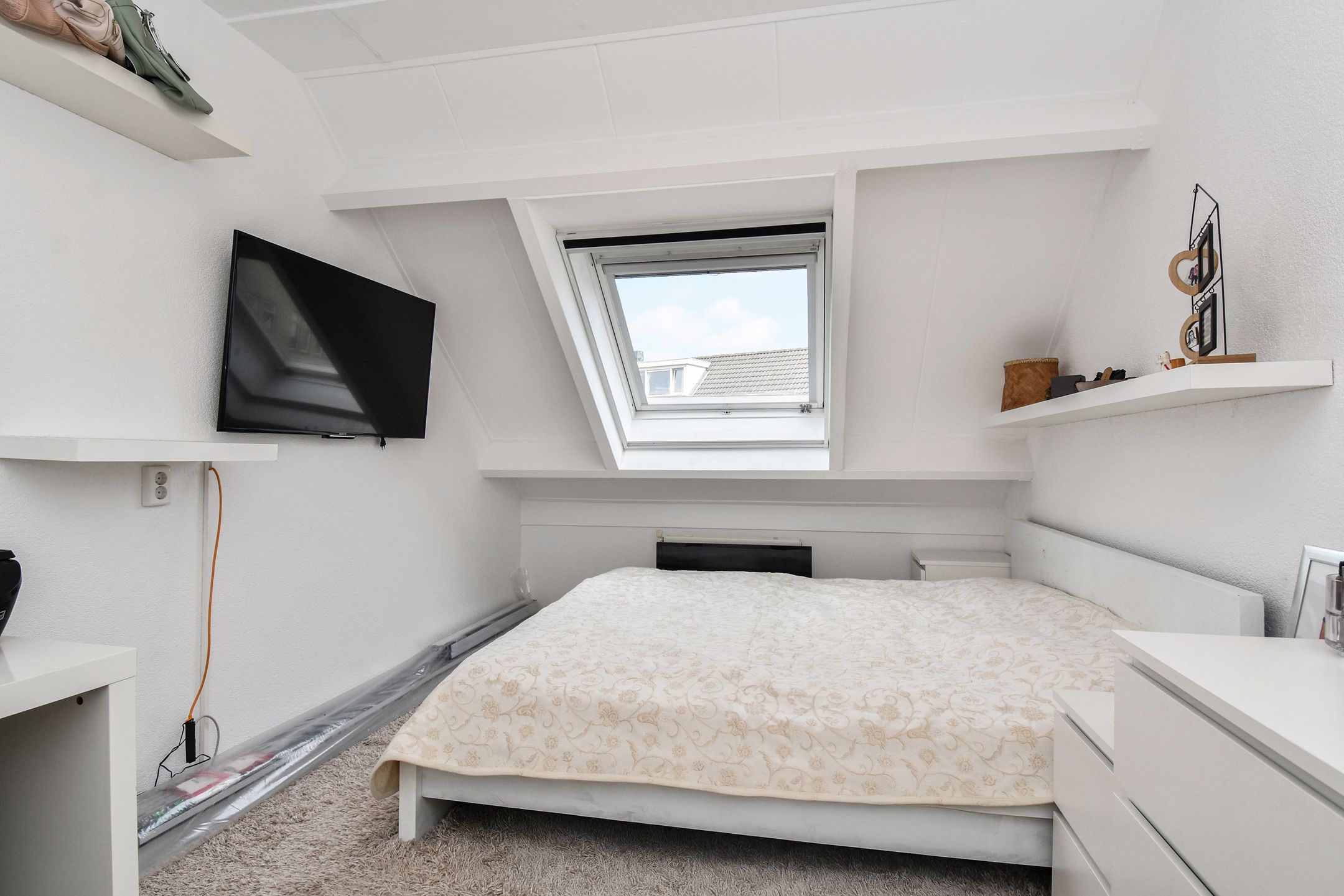 Photo 18 of Regulus 26