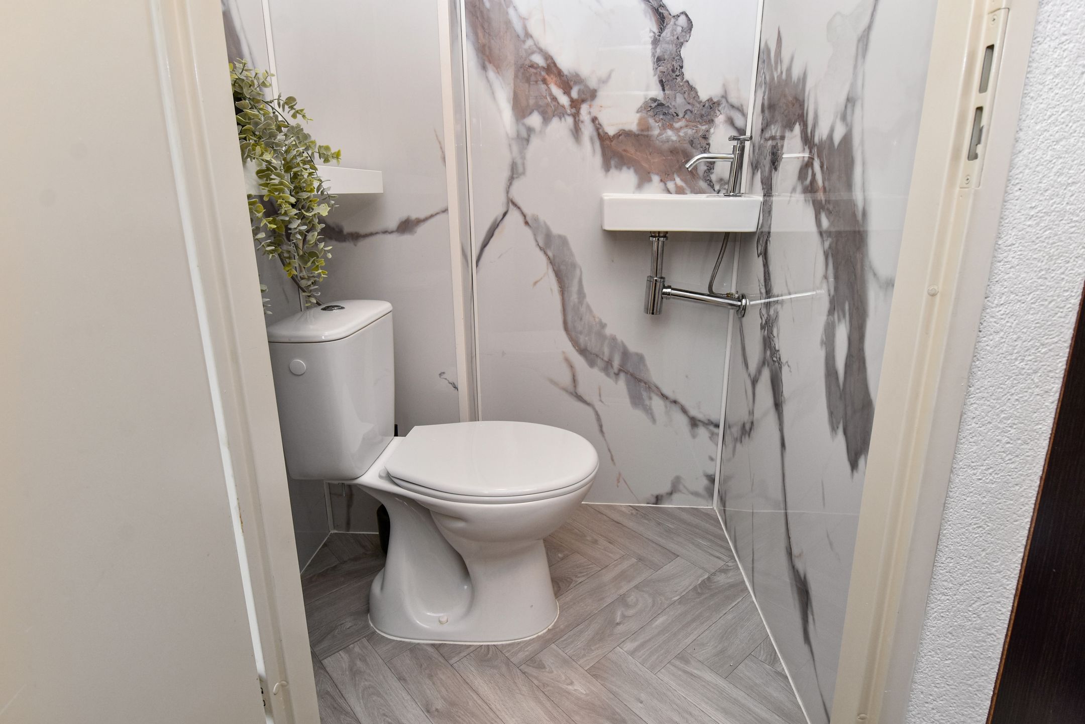 Photo 15 of Regulus 26